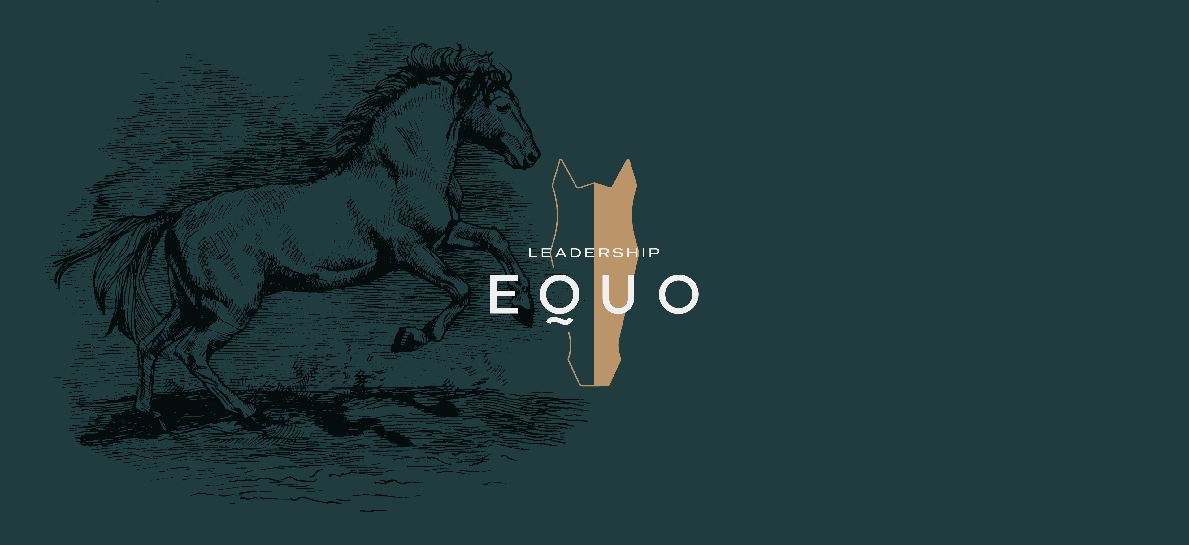 Equo 4
