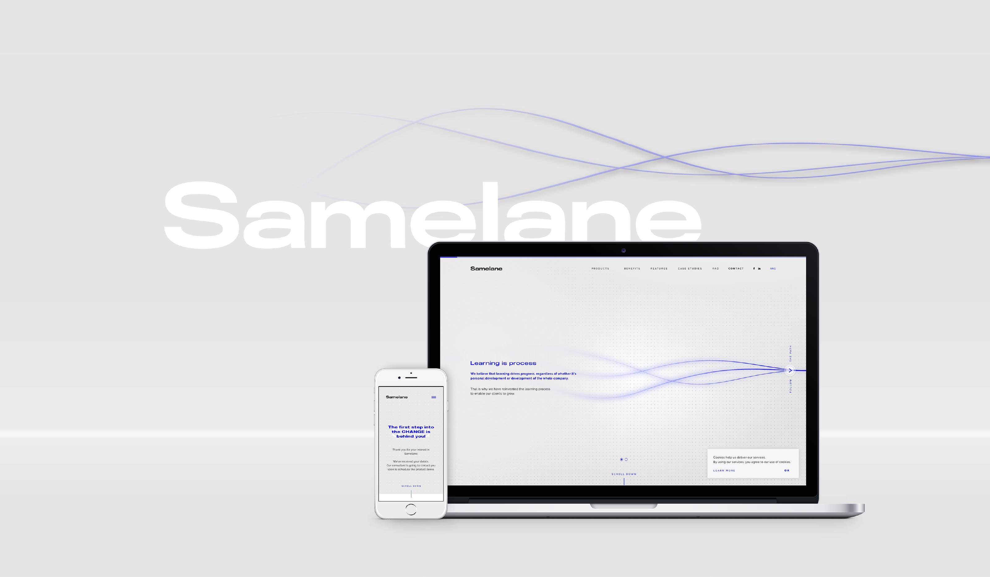 Samelane widok strony www 3