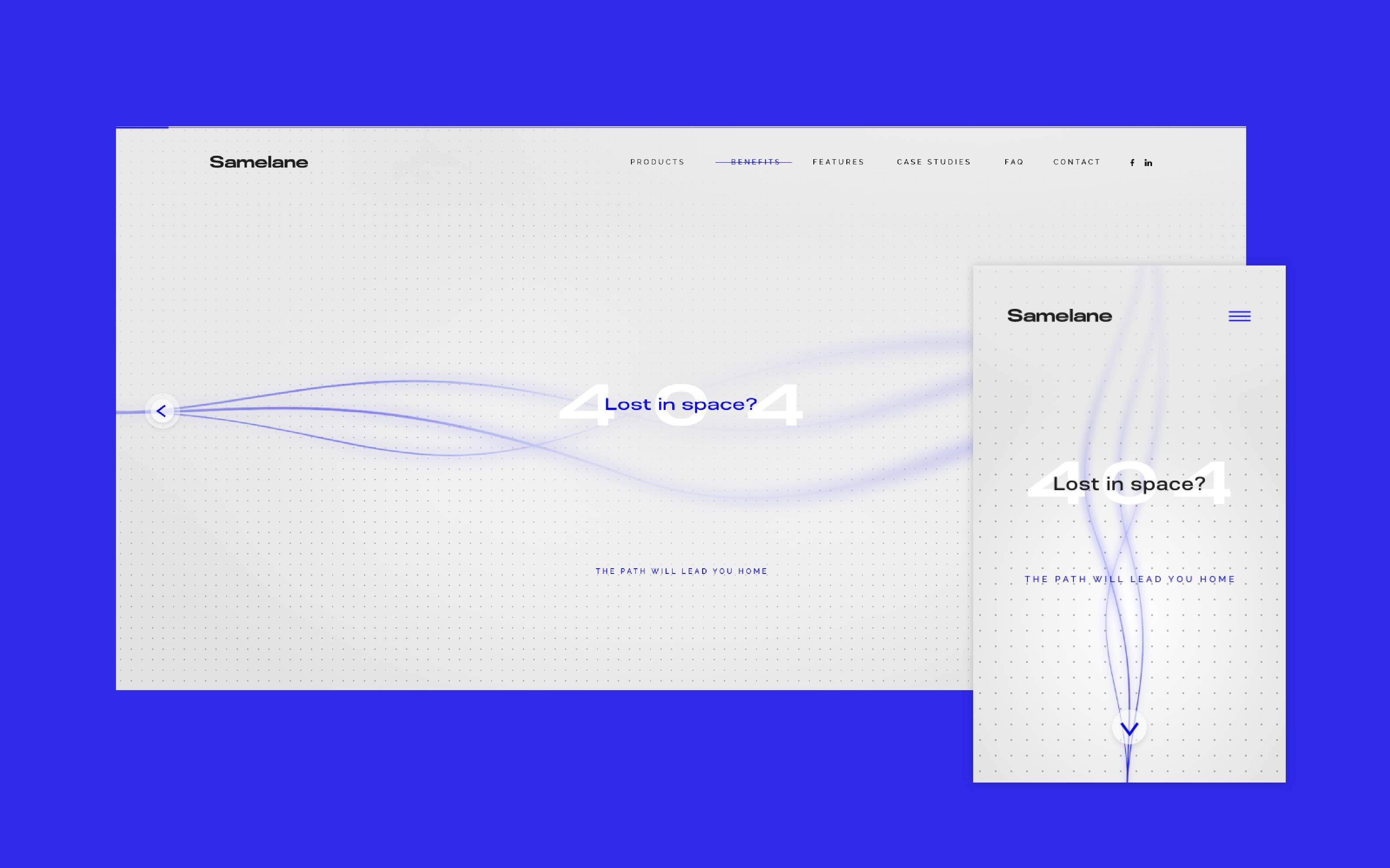 Samelane widok strony www 2