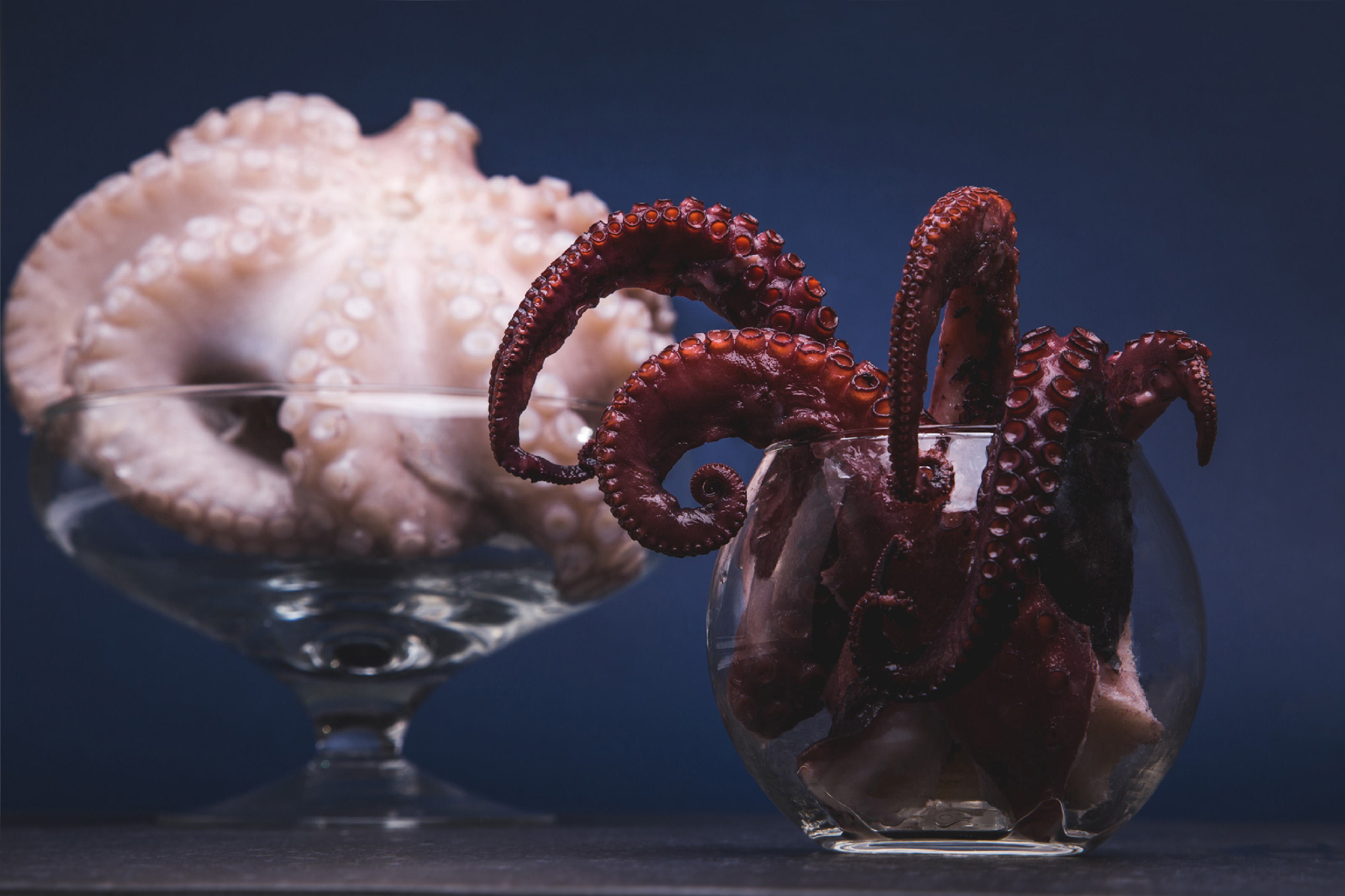 Fish'nall – fotografia produktowa